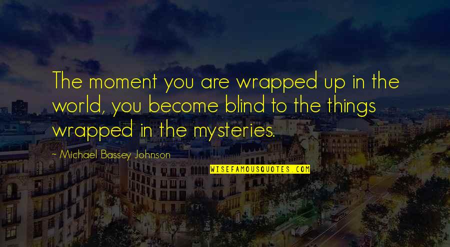 The Mysteries Of The World Quotes By Michael Bassey Johnson: The moment you are wrapped up in the