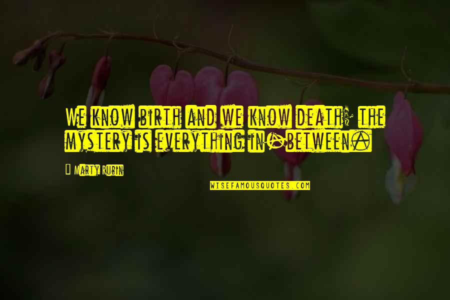 The Mystery Of Death Quotes By Marty Rubin: We know birth and we know death; the