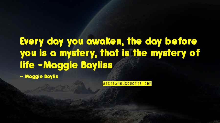 The Mystery Of Life Quotes By Maggie Baylis: Every day you awaken, the day before you