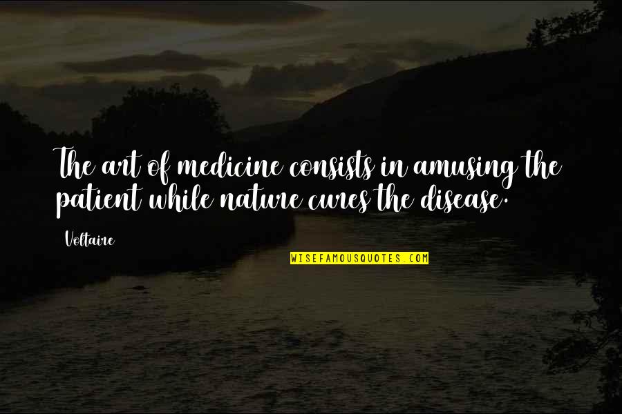 The Nature Of Art Quotes By Voltaire: The art of medicine consists in amusing the