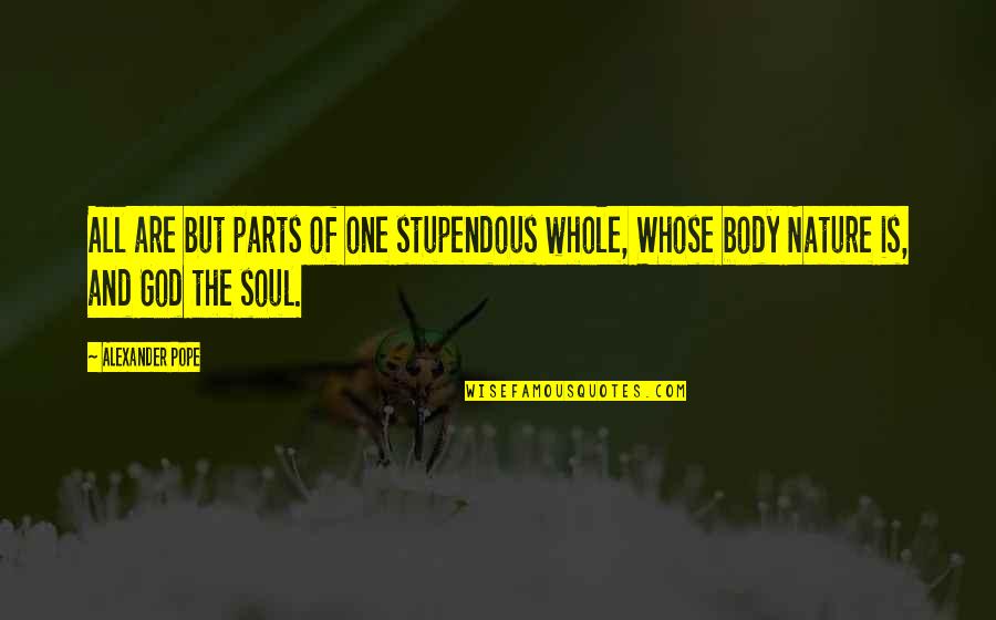 The Nature Of The Soul Quotes By Alexander Pope: All are but parts of one stupendous whole,