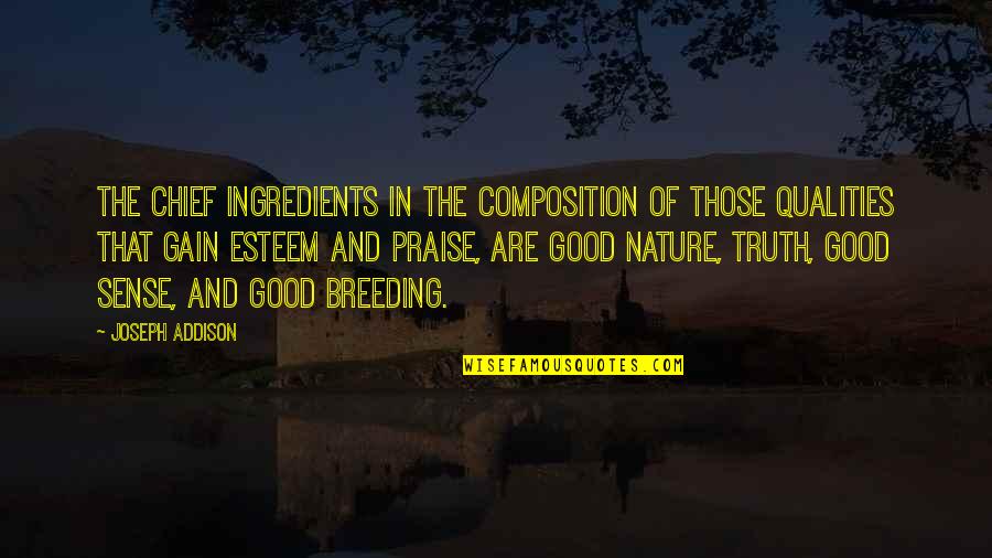 The Nature Of Truth Quotes By Joseph Addison: The chief ingredients in the composition of those