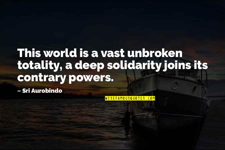 The Necklace Symbolism Quotes By Sri Aurobindo: This world is a vast unbroken totality, a The Necklace Symbolism Quotes By Sri Aurobindo: This world is a vast unbroken totality, a