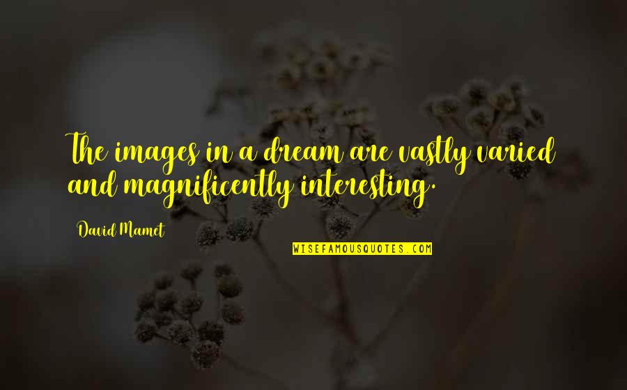 The Negative Effects Of Love Quotes By David Mamet: The images in a dream are vastly varied