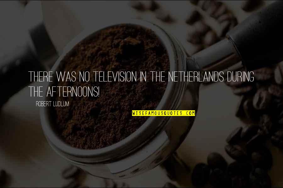 The Netherlands Quotes By Robert Ludlum: there was no television in the Netherlands during