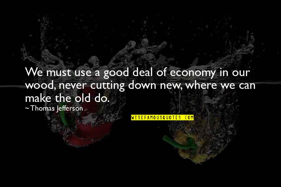 The New Deal Quotes By Thomas Jefferson: We must use a good deal of economy