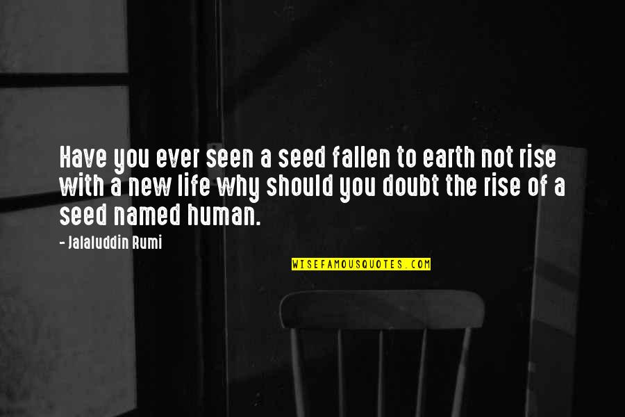 The New Earth Quotes By Jalaluddin Rumi: Have you ever seen a seed fallen to