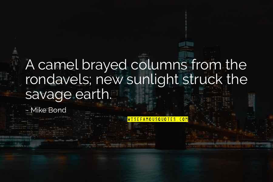 The New Earth Quotes By Mike Bond: A camel brayed columns from the rondavels; new