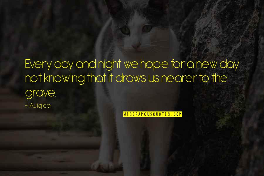 The New Hope Quotes By Auliq Ice: Every day and night we hope for a