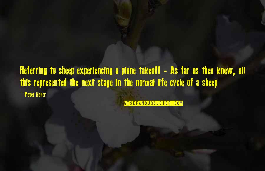 The Next Stage In Life Quotes By Peter Heller: Referring to sheep experiencing a plane takeoff -