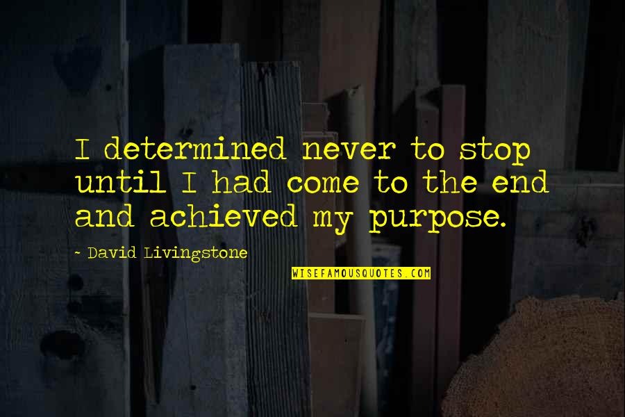 The Niagara Movement Quotes By David Livingstone: I determined never to stop until I had
