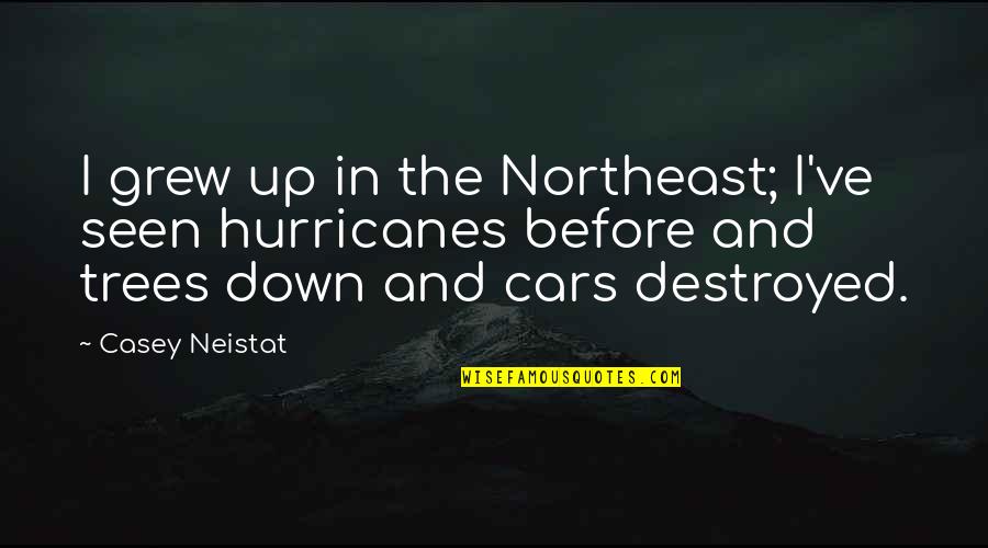 The Northeast Quotes By Casey Neistat: I grew up in the Northeast; I've seen