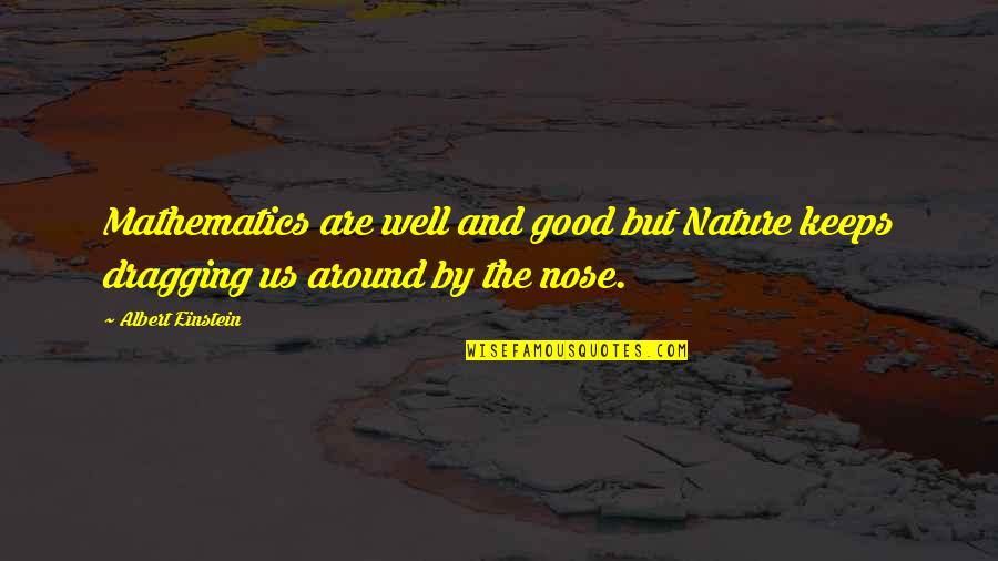 The Nose Quotes By Albert Einstein: Mathematics are well and good but Nature keeps