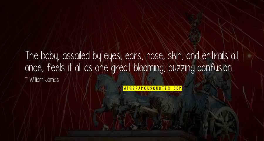 The Nose Quotes By William James: The baby, assailed by eyes, ears, nose, skin,