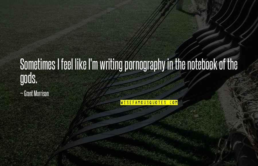 The Notebook Quotes By Grant Morrison: Sometimes I feel like I'm writing pornography in