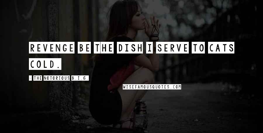 The Notorious B.I.G. quotes: Revenge be the dish I serve to cats cold.