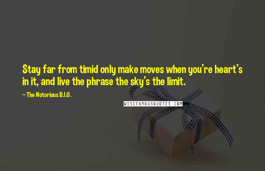 The Notorious B.I.G. quotes: Stay far from timid only make moves when you're heart's in it, and live the phrase the sky's the limit.