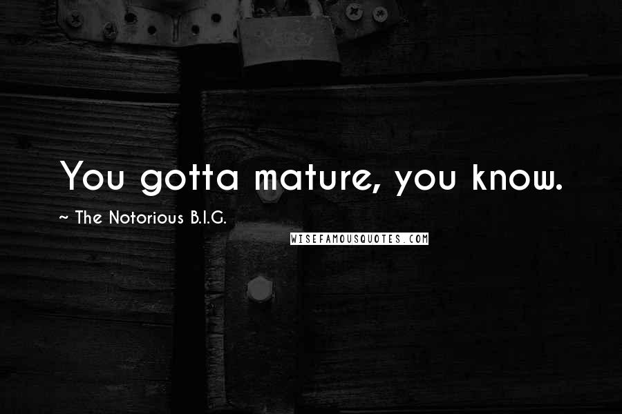 The Notorious B.I.G. quotes: You gotta mature, you know.