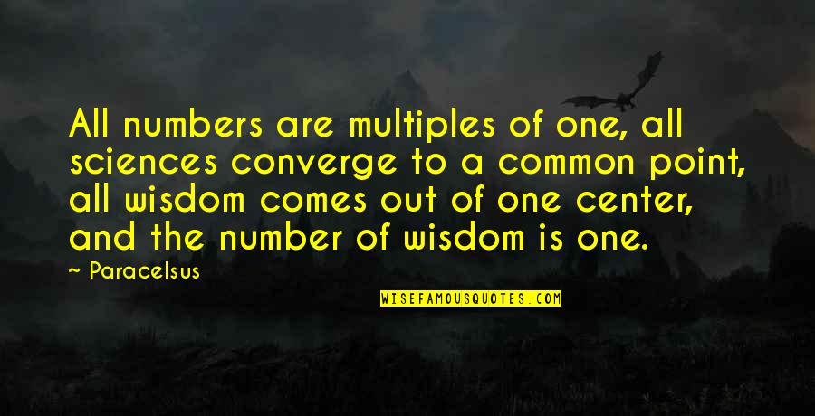 The Number One Quotes By Paracelsus: All numbers are multiples of one, all sciences