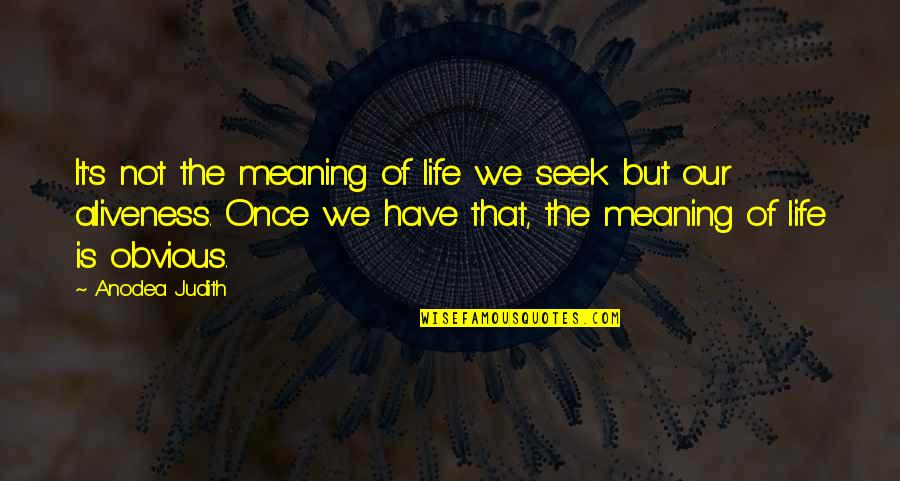 The Obvious Quotes By Anodea Judith: It's not the meaning of life we seek