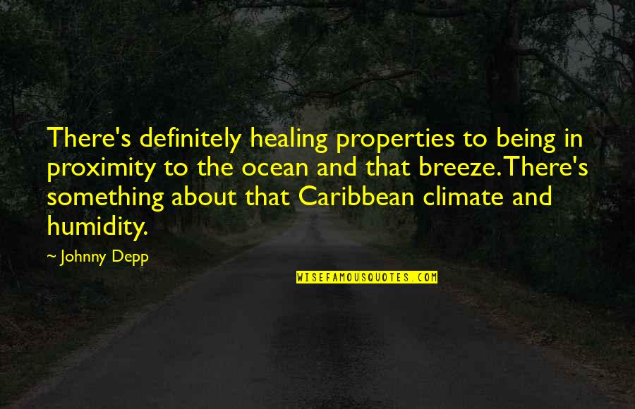 The Ocean And Healing Quotes By Johnny Depp: There's definitely healing properties to being in proximity