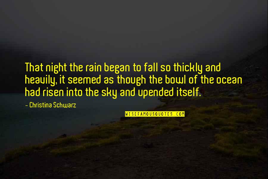 The Ocean And Sky Quotes By Christina Schwarz: That night the rain began to fall so