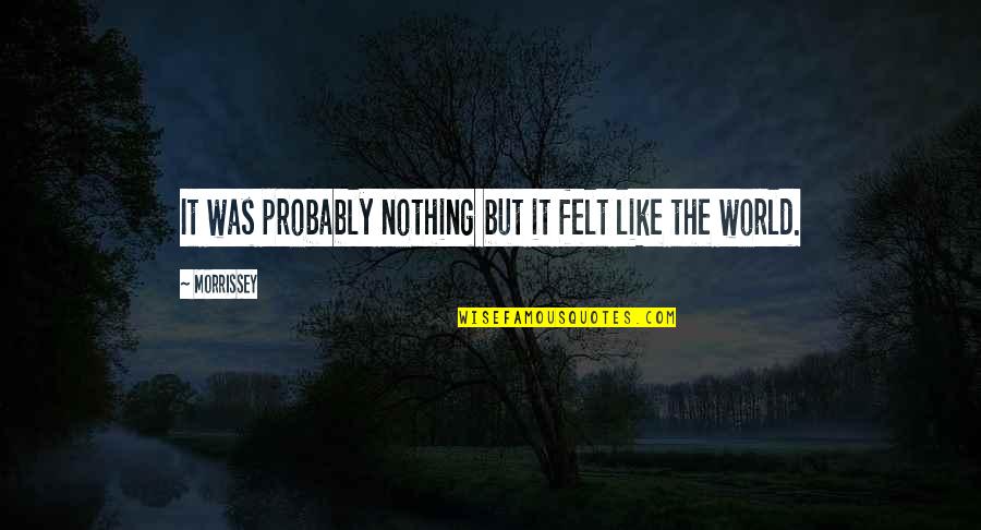 The Office Kevin Cupcake Quotes By Morrissey: It was probably nothing but it felt like