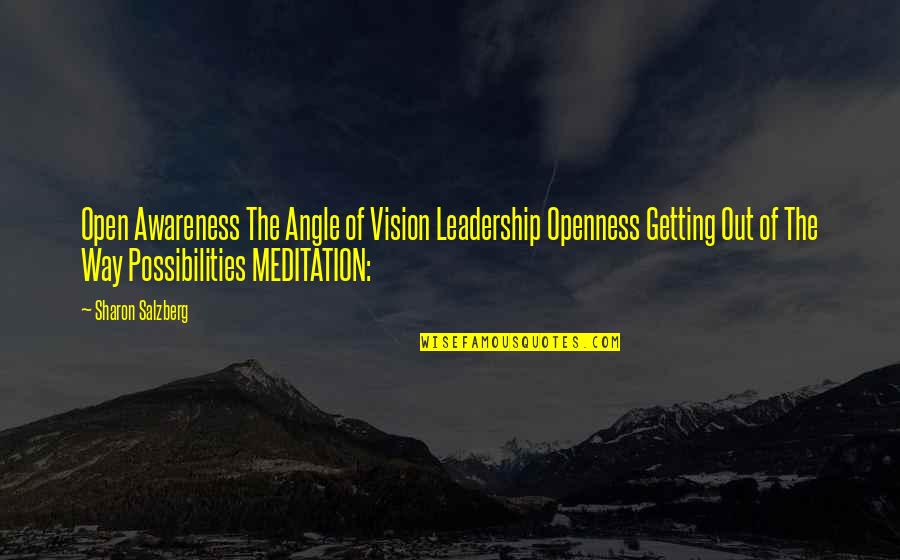 The Office Romance Quotes By Sharon Salzberg: Open Awareness The Angle of Vision Leadership Openness