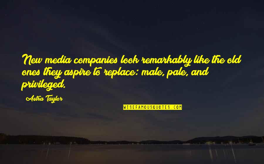 The Old And New Quotes By Astra Taylor: New media companies look remarkably like the old