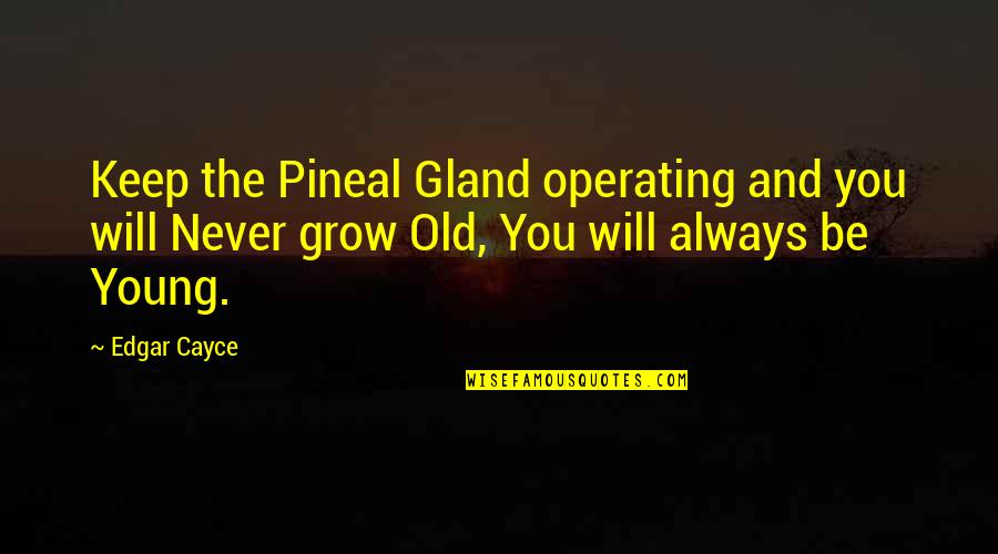 The Old And Young Quotes By Edgar Cayce: Keep the Pineal Gland operating and you will