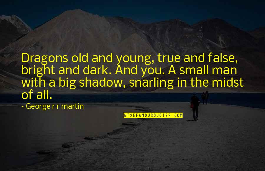 The Old And Young Quotes By George R R Martin: Dragons old and young, true and false, bright