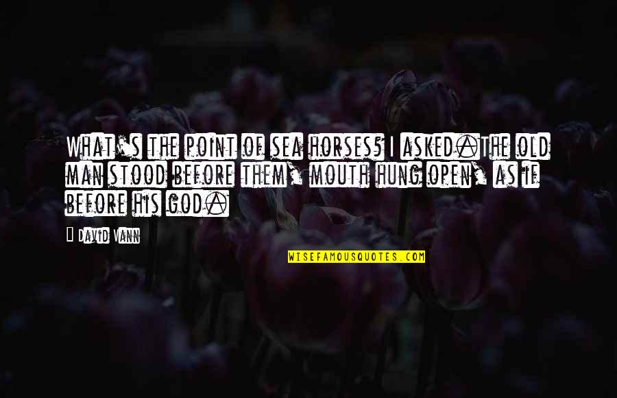 The Old Man And Sea Quotes By David Vann: What's the point of sea horses? I asked.The
