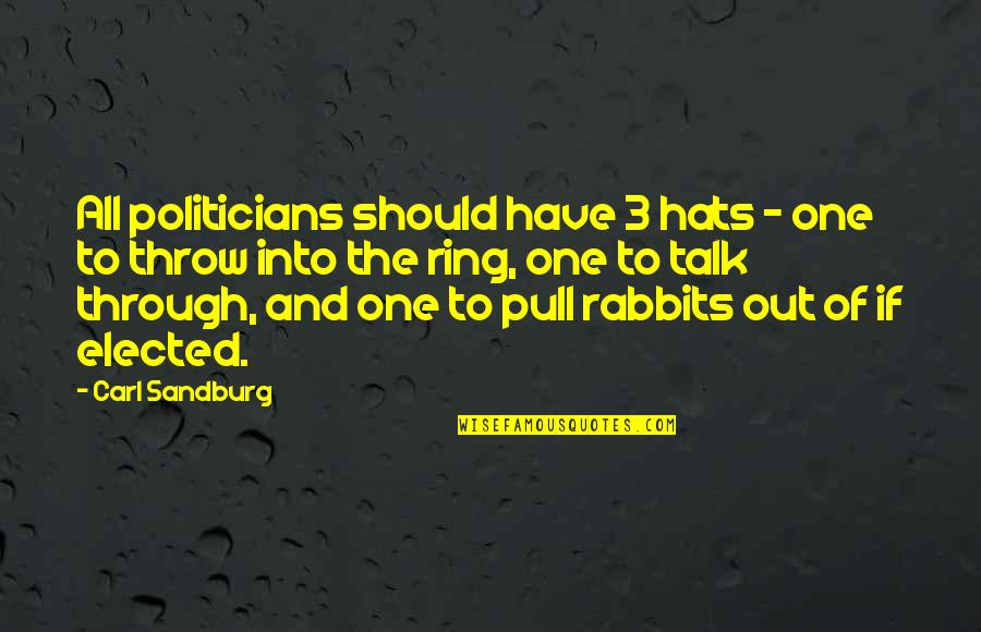 The One Ring Quotes By Carl Sandburg: All politicians should have 3 hats - one