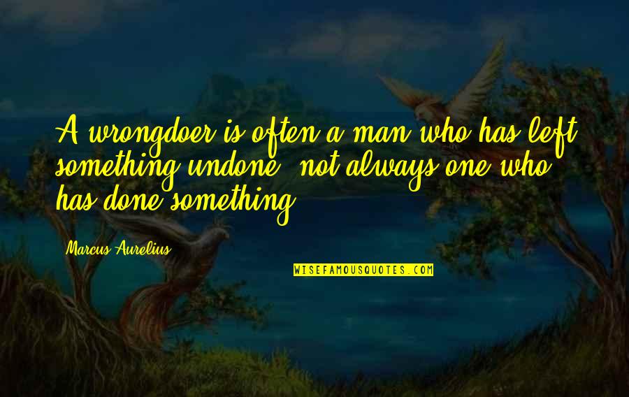 The One Who Left You Quotes By Marcus Aurelius: A wrongdoer is often a man who has