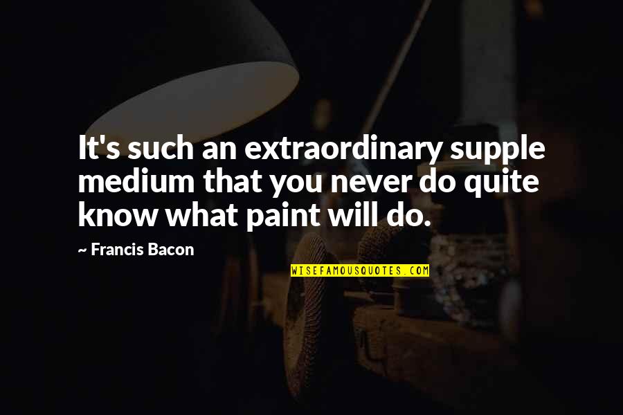 The One You Want To Marry Quotes By Francis Bacon: It's such an extraordinary supple medium that you