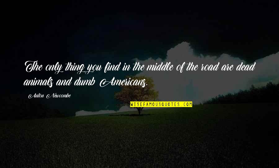 The Only Animal Quotes By Anton Newcombe: The only thing you find in the middle The Only Animal Quotes By Anton Newcombe: The only thing you find in the middle