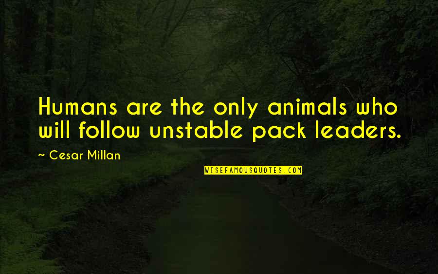The Only Animal Quotes By Cesar Millan: Humans are the only animals who will follow