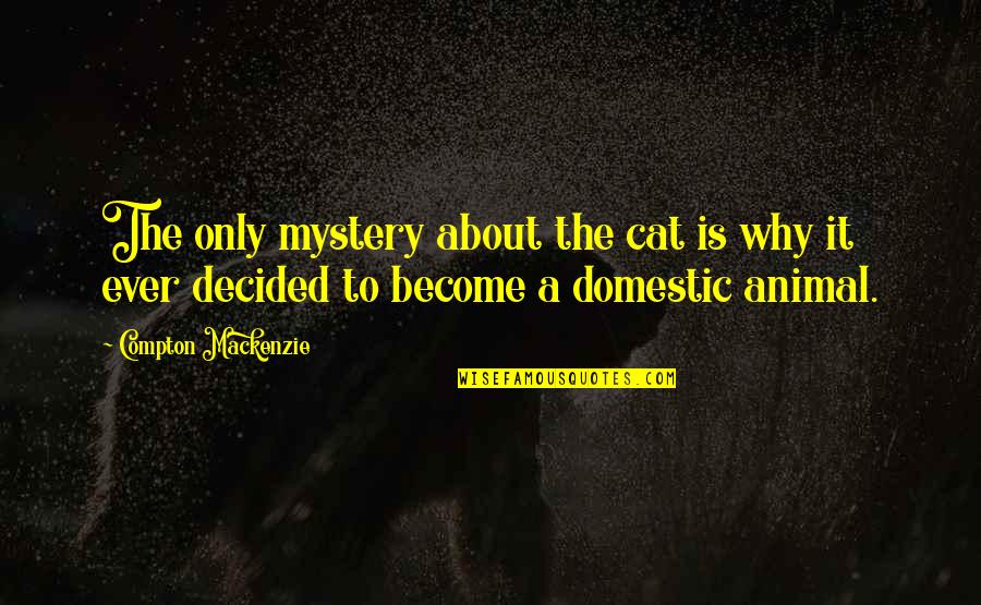 The Only Animal Quotes By Compton Mackenzie: The only mystery about the cat is why The Only Animal Quotes By Compton Mackenzie: The only mystery about the cat is why