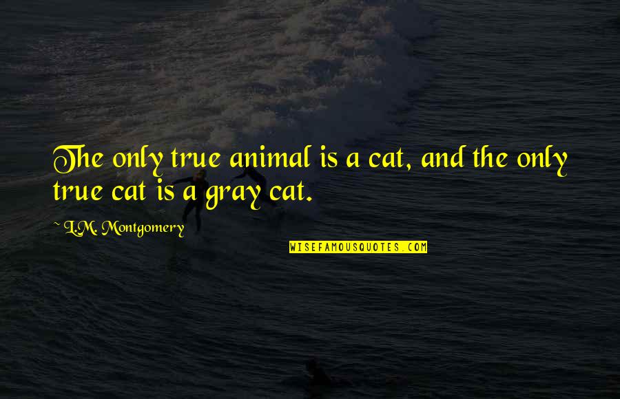 The Only Animal Quotes By L.M. Montgomery: The only true animal is a cat, and The Only Animal Quotes By L.M. Montgomery: The only true animal is a cat, and