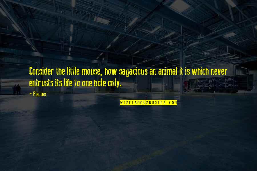 The Only Animal Quotes By Plautus: Consider the little mouse, how sagacious an animal The Only Animal Quotes By Plautus: Consider the little mouse, how sagacious an animal