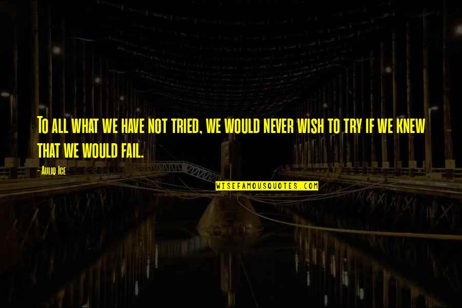 The Only Failure Is Not Trying Quotes By Auliq Ice: To all what we have not tried, we