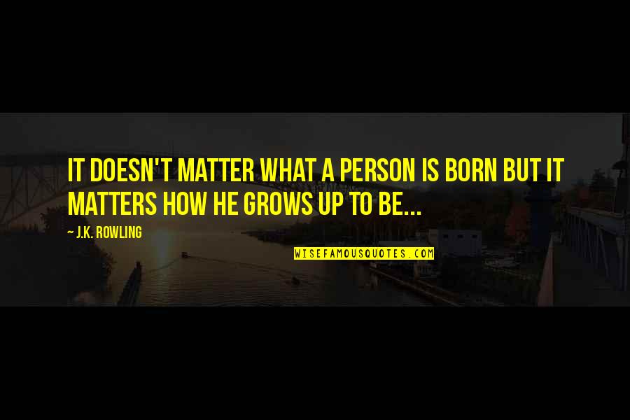The Only Person That Matters Quotes By J.K. Rowling: It doesn't matter what a person is born