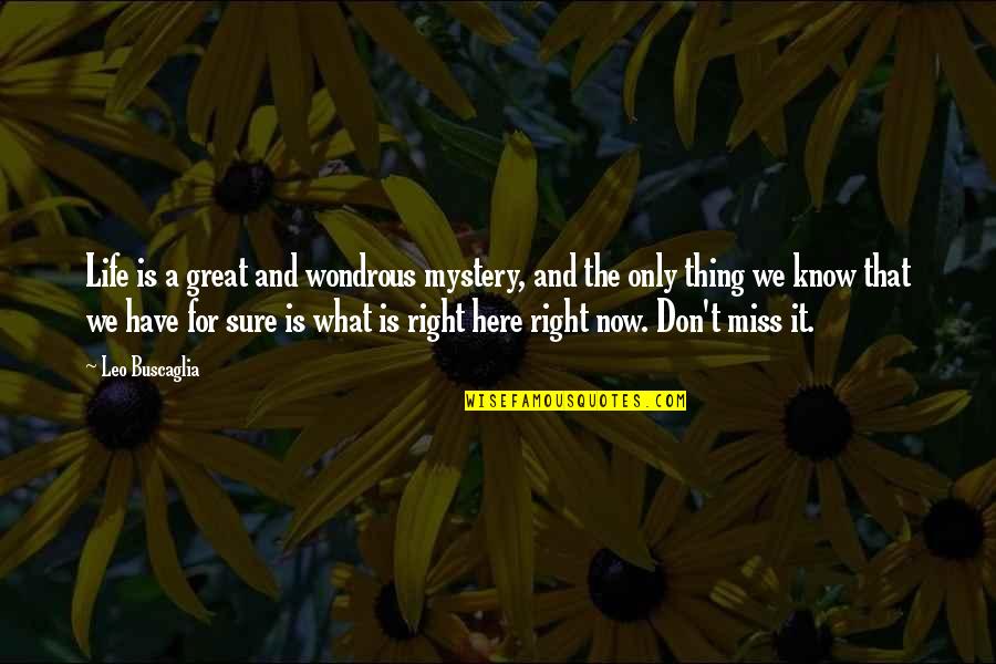 The Only Thing Missing Is You Quotes By Leo Buscaglia: Life is a great and wondrous mystery, and