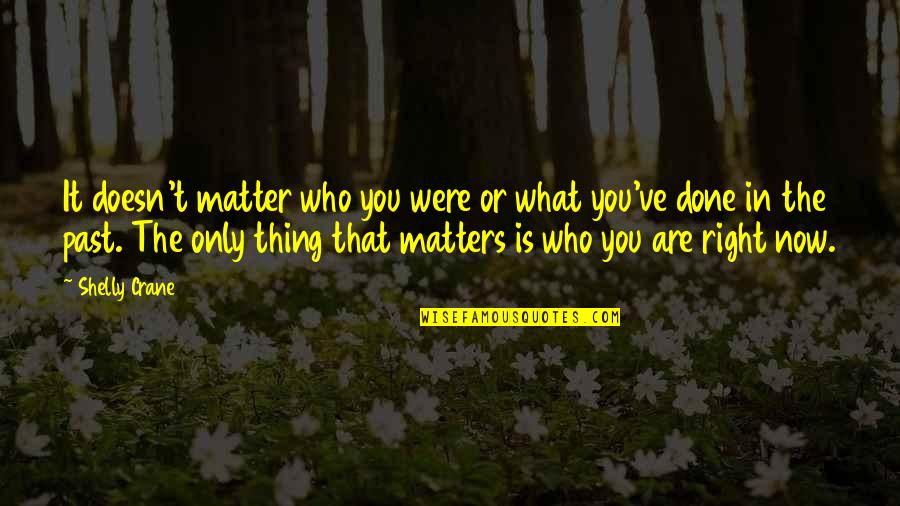 The Only Thing That Matters Quotes By Shelly Crane: It doesn't matter who you were or what