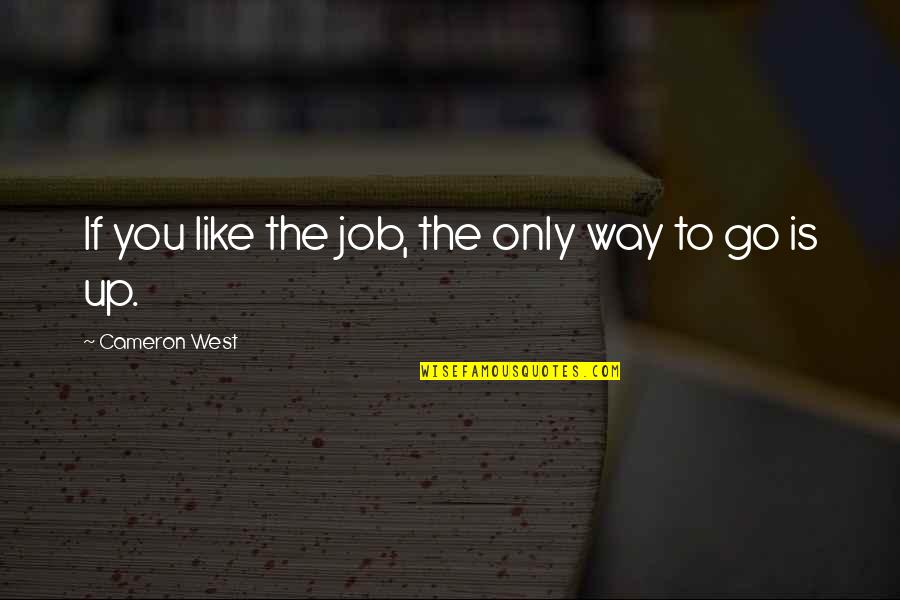 The Only Way Is Up Quotes By Cameron West: If you like the job, the only way