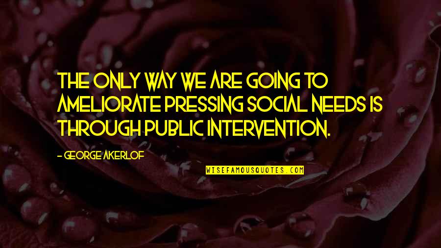 The Only Way Through Is Through Quotes By George Akerlof: The only way we are going to ameliorate The Only Way Through Is Through Quotes By George Akerlof: The only way we are going to ameliorate