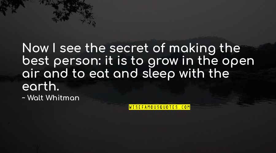 The Open Air Quotes By Walt Whitman: Now I see the secret of making the