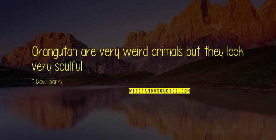 The Orangutan Quotes By Dave Barry: Orangutan are very weird animals but they look