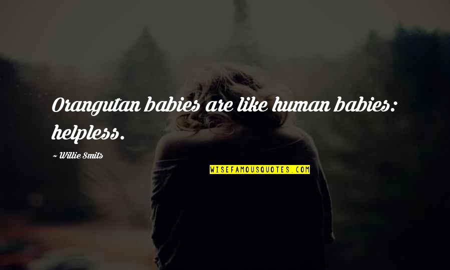 The Orangutan Quotes By Willie Smits: Orangutan babies are like human babies: helpless. The Orangutan Quotes By Willie Smits: Orangutan babies are like human babies: helpless.