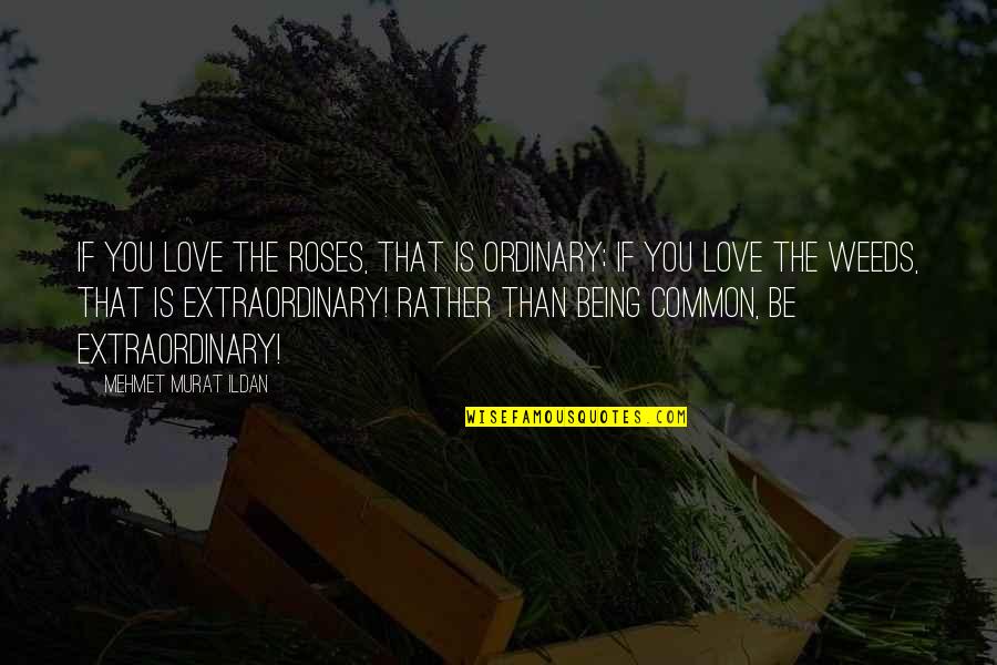 The Ordinary Being Extraordinary Quotes By Mehmet Murat Ildan: If you love the roses, that is ordinary;